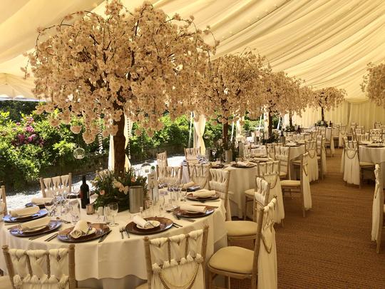 Blossom trees in a marquee